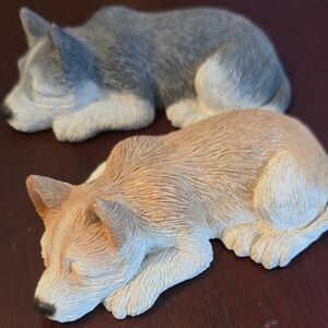 Pair Of Sleeping Puppies